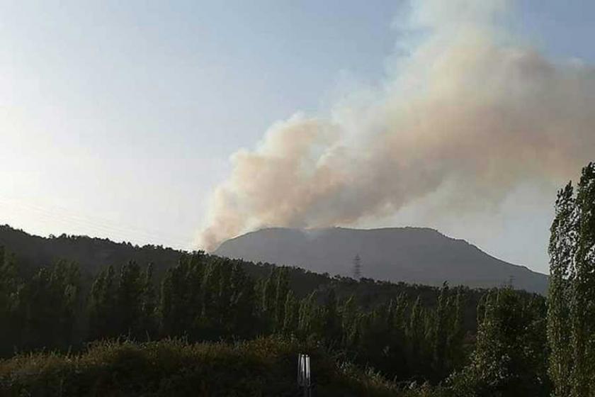 Nallıhan'da orman yangını