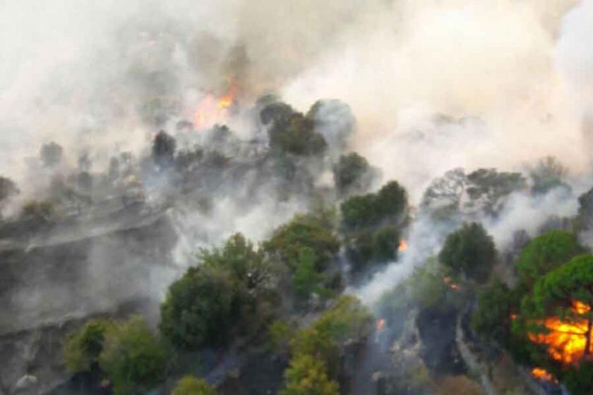 Milas'ta tarım arazisindeki yangın ormana sıçradı