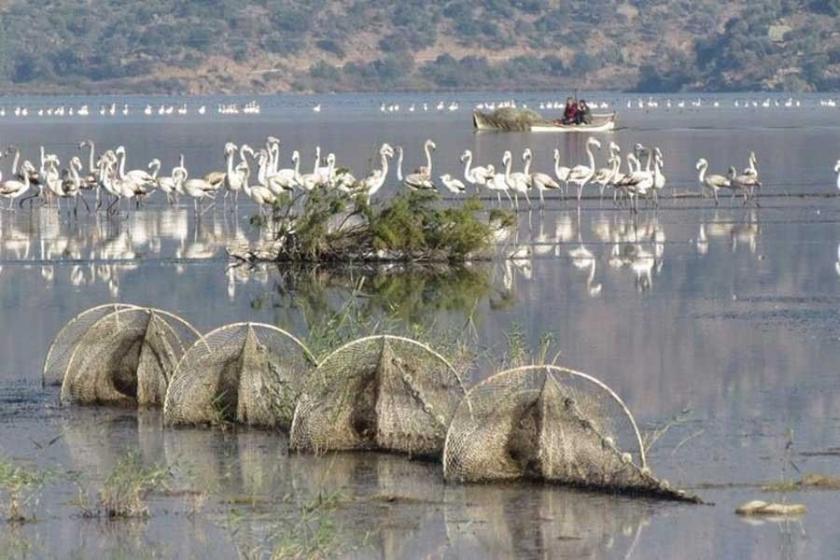 Bafa Gölü Tabiat Parkı'na maden ocağı tepkisi