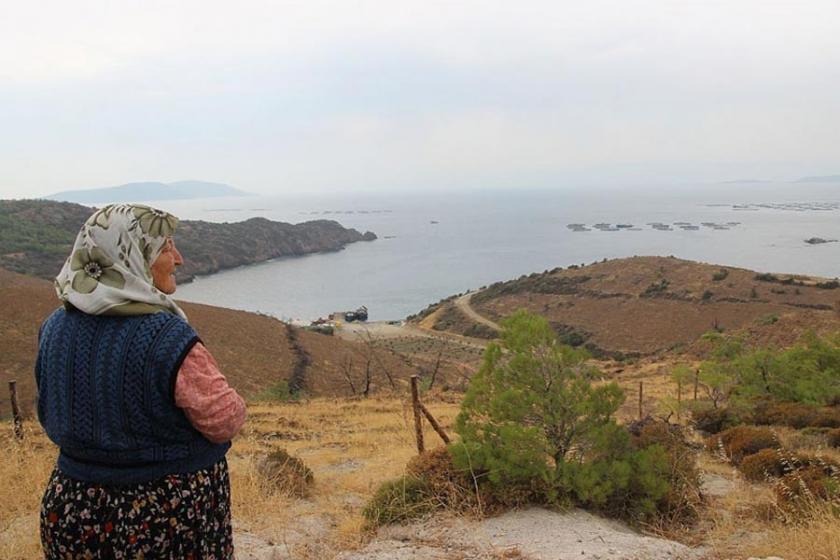 Ekoloji hareketleri Bergama'da buluşuyor