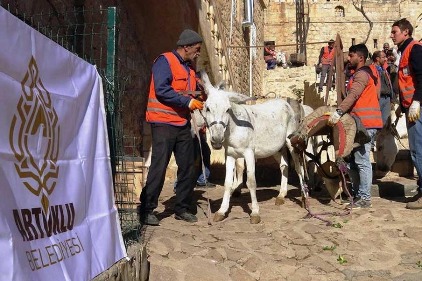 Mardin'de belediyede kadrolu çalışan 3 eşek emekliye ayrıldı