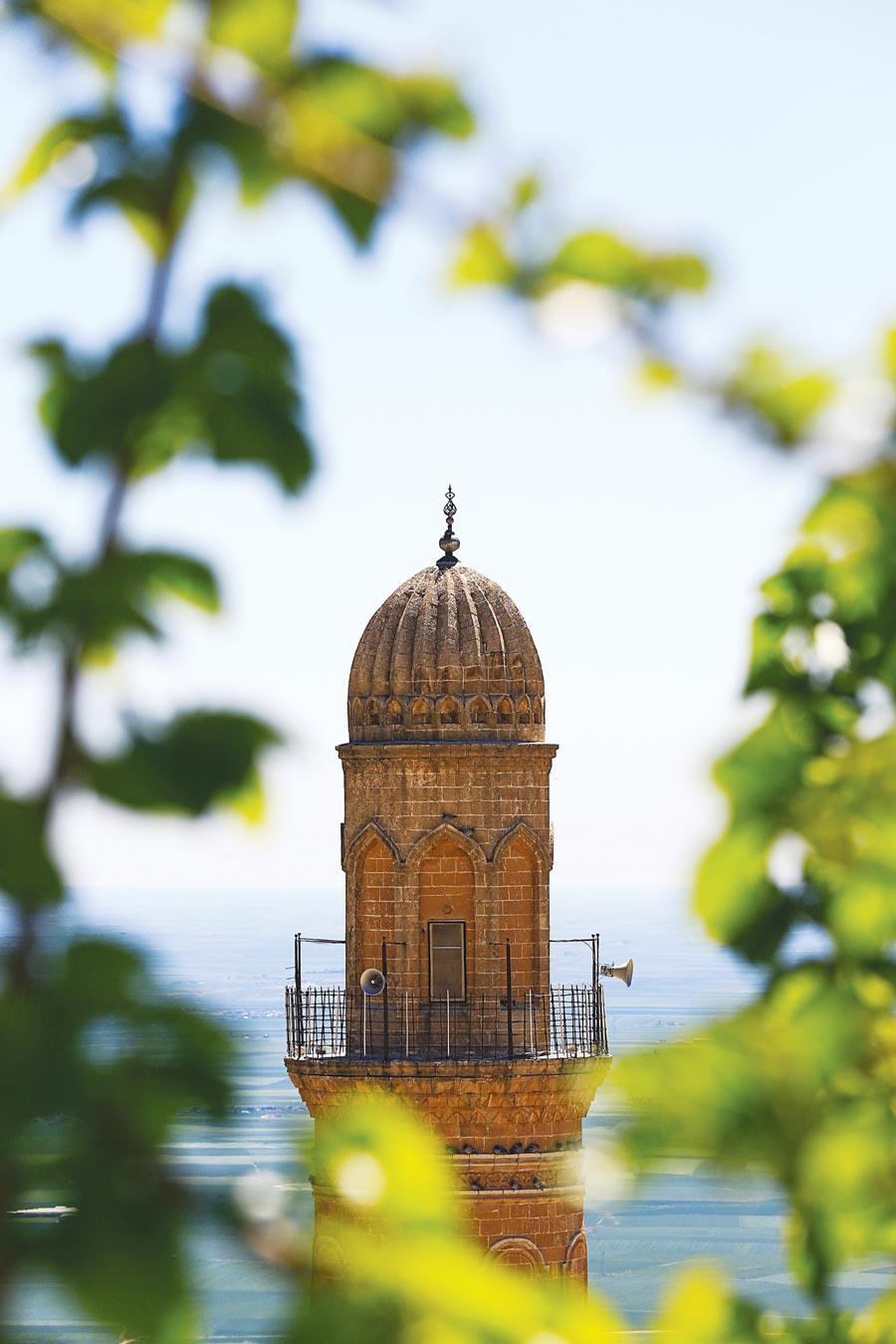 Mardin