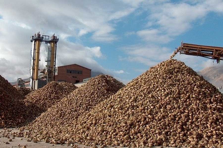 14 şeker fabrikasının satışı için süreç başlıyor