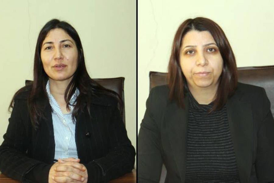 HDP Şırnak milletvekilleri: İnsanlık suçlarına dur denilmeli
