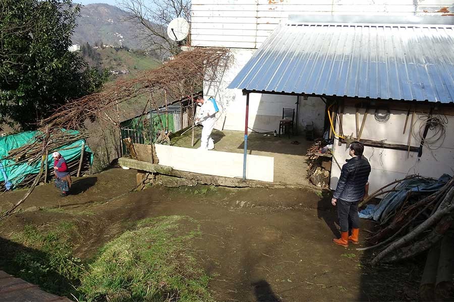 Akçaabat'ta şarbon krizi: Bir kişi hayatını kaybetti