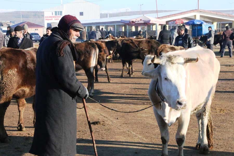 Hayvan borsasına artık elleri boş gidip geliyorlar