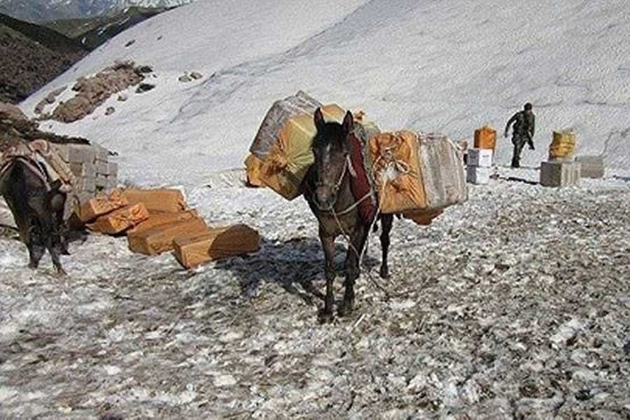 Gözaltına alınan katırlar tutuksuz yargılanacak!