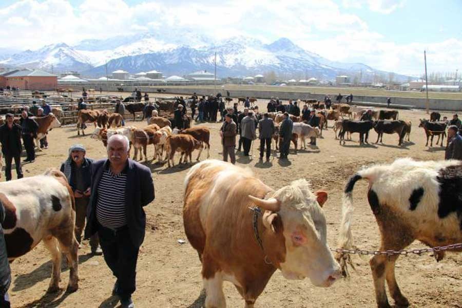 ‘Mazot, gübre, saman ve yem fiyatları düşürülsün’