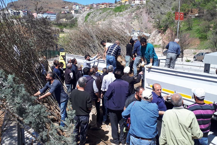 Bursa’dan Dersim’e 60 bin fidan gönderildi