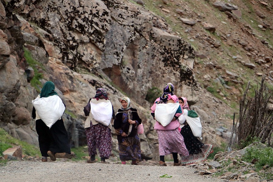 Çukurca’da yolları yasaklanan berivanlar zorluk çekiyor