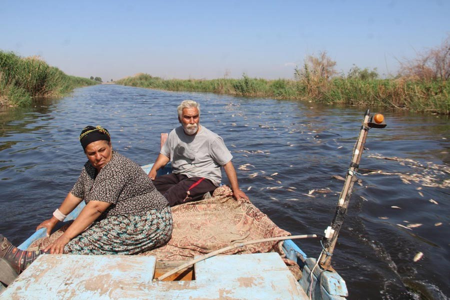 Büyük Menderes ölüm nehri haline geliyor