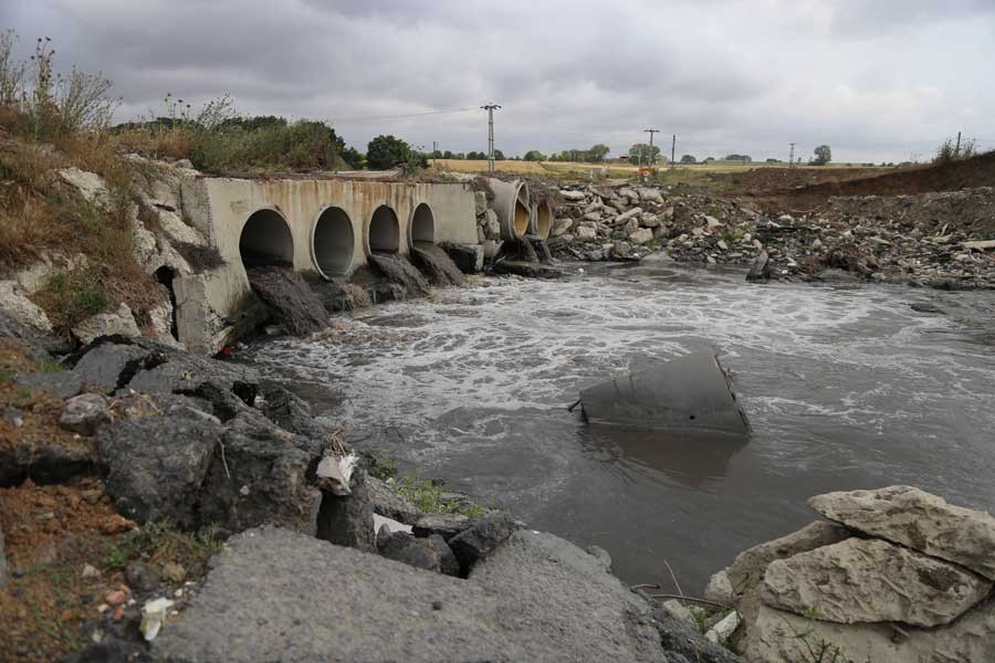 'Ergene Nehri öldü, şimdi çevresini öldürüyorlar'