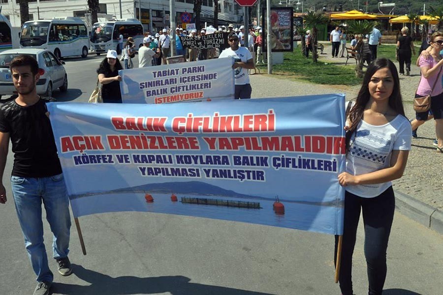 'Ayvalık'taki balık çiftliklerine ÇED gerekli değil' kararı bozuldu