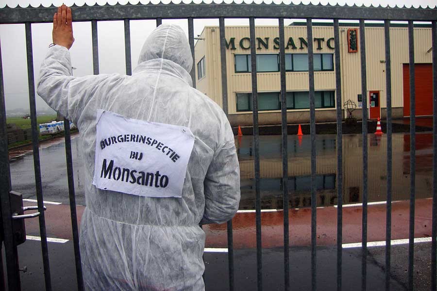 Monsanto, kanser hastasına 289 milyon dolar tazminat ödeyecek