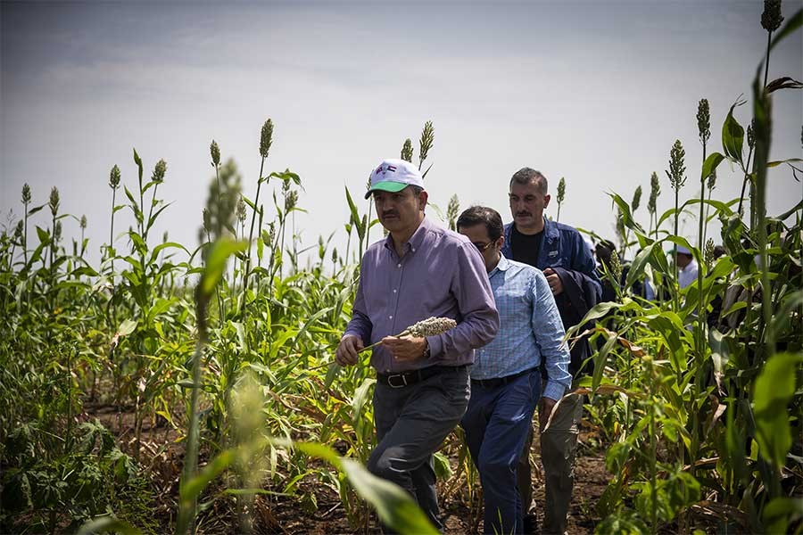 Türkiye, Sudan’da 780 bin hektar tarım arazisi aldı