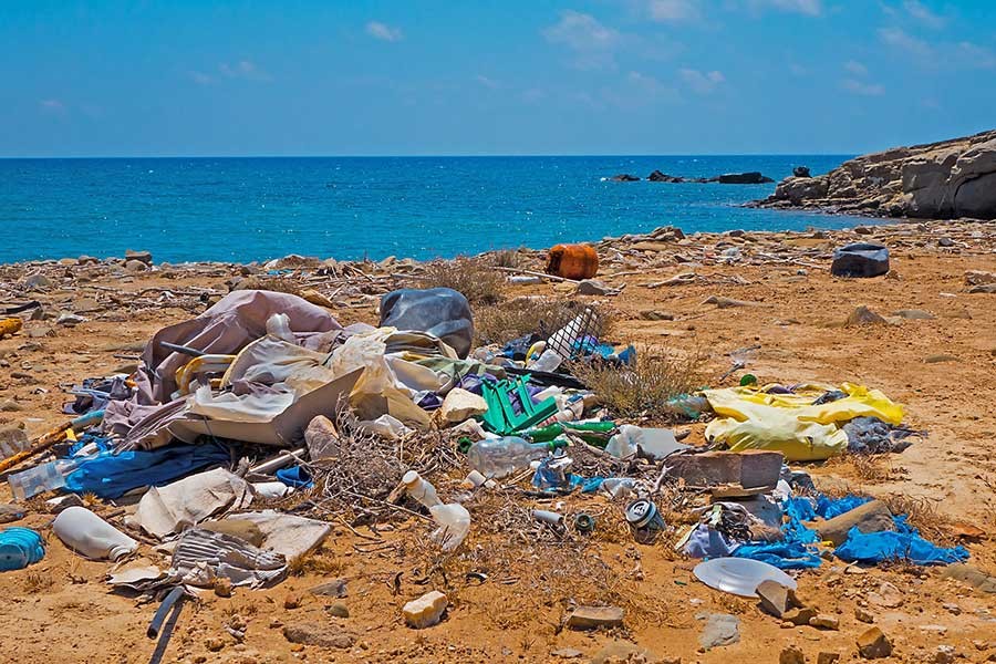 Deniz canlıları neden plastiği gıda sanıp yiyor?