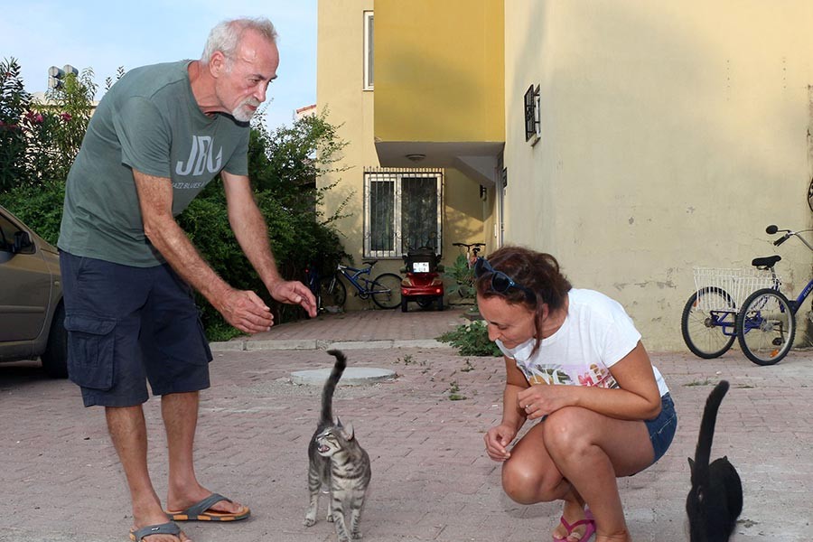 ‘Sokak kedilerini besledikleri için darbedildi’ iddiası