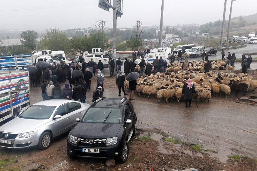 Hayvancılık yapan Diyarbakırlılar yol kapattı