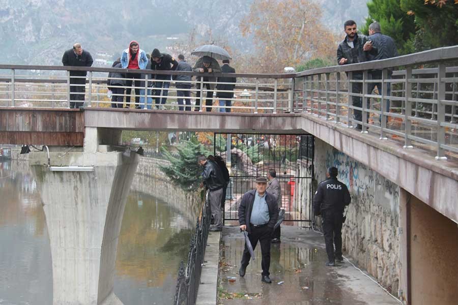 Yeşilırmak'tan ölü balık topluyorlar