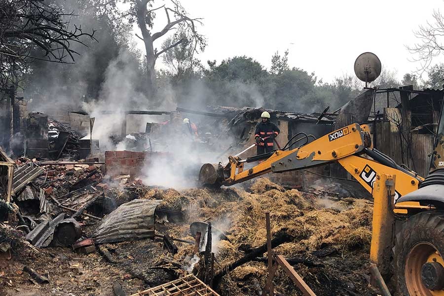 Büyükada’da atların öldüğü yangın Meclis gündemine taşındı