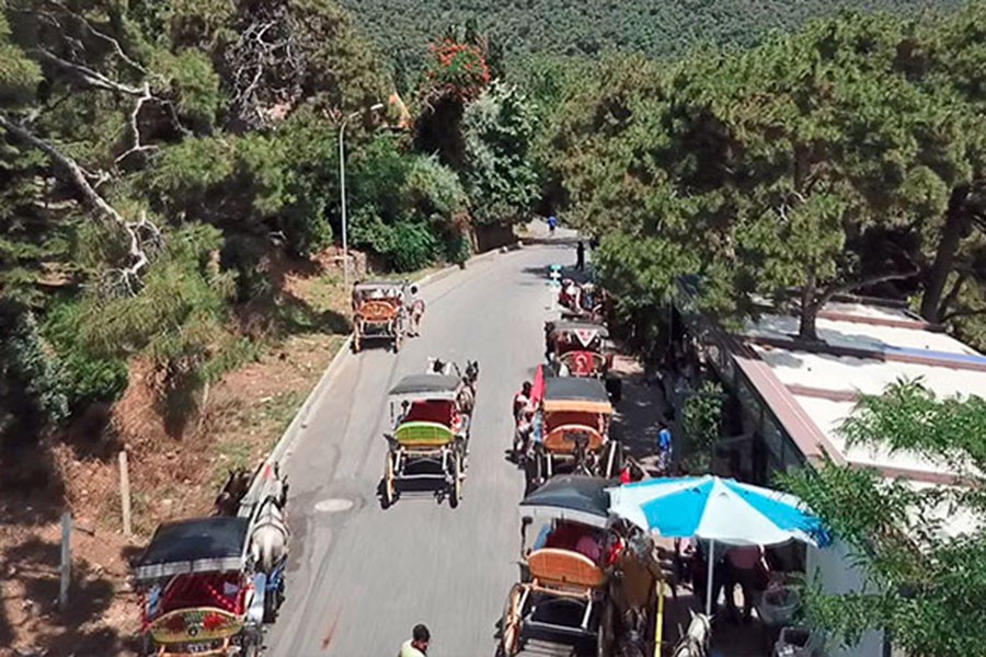 Adalar Ulaşım Çalıştayı'nda faytonlar da masaya yatırılıyor