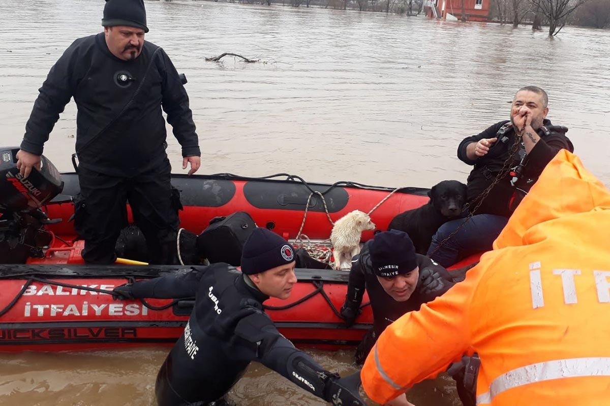 Susurluk Çayı taştı, mahsur kalan 7 köpekten 4'ü kurtarıldı