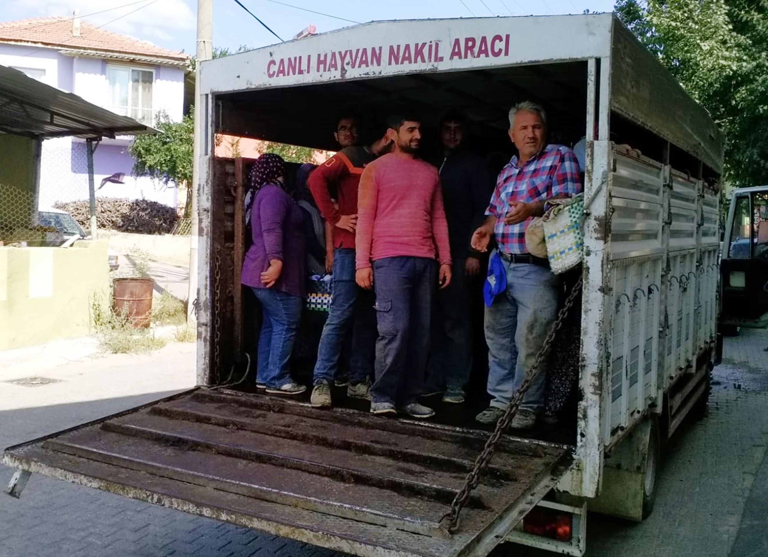 İşçileri 'canlı hayvan nakil aracı'nda taşıdılar!