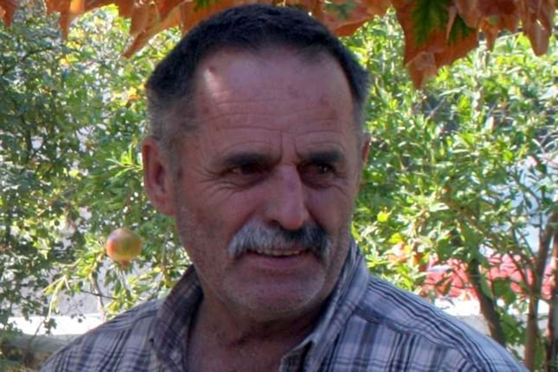 Harun Bayrak