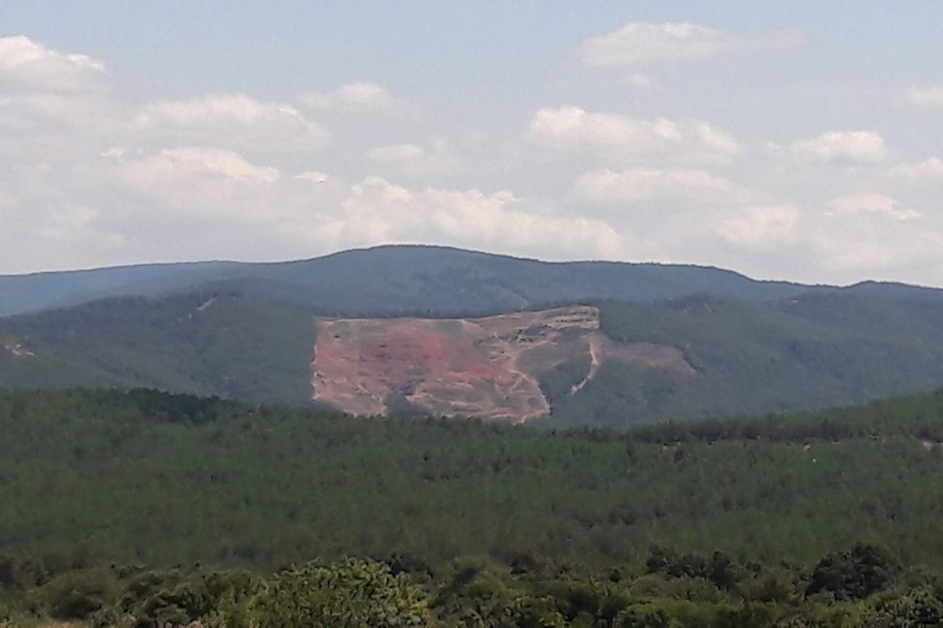 kaz dağı eteklerindeki doğa katliamı