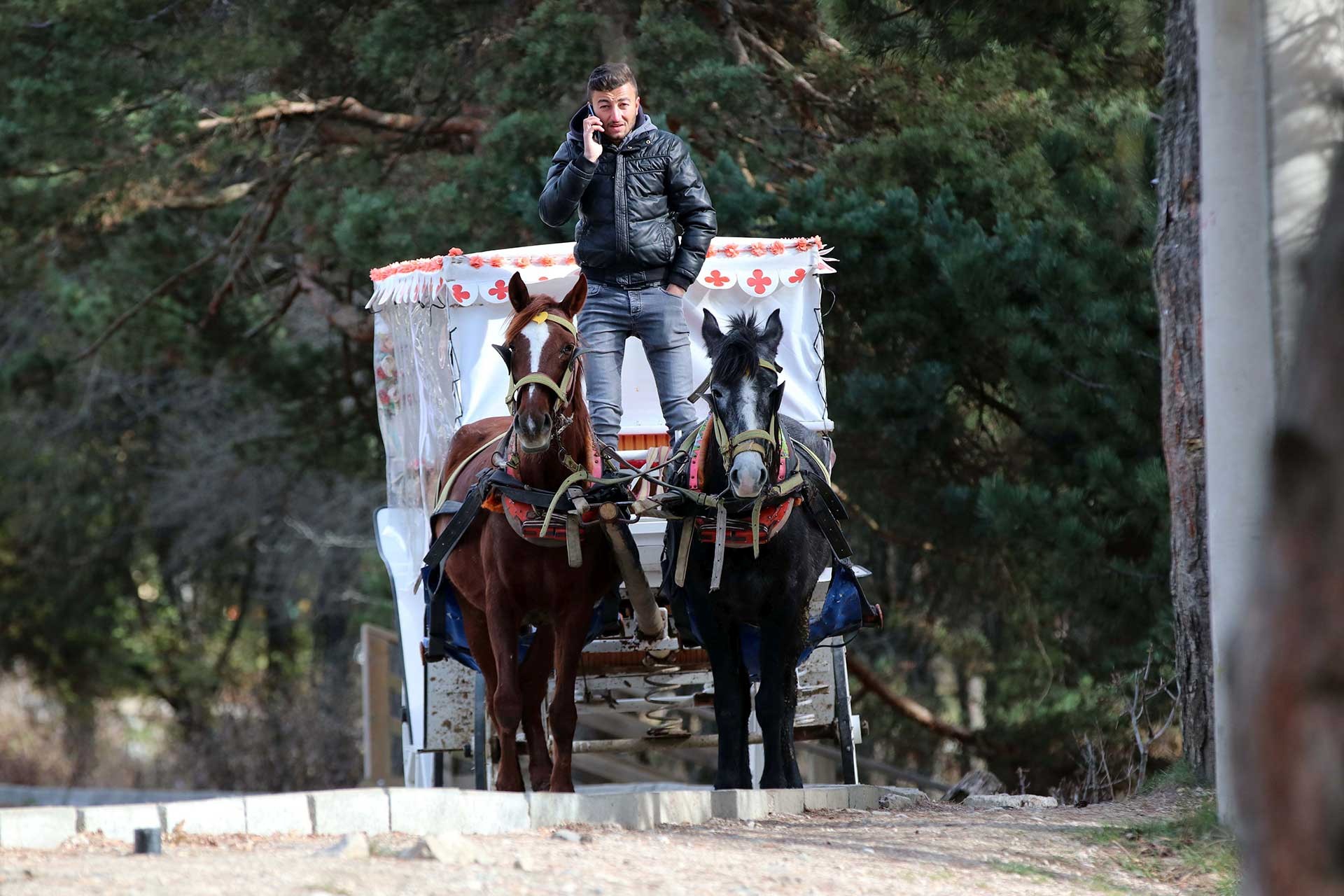 Abant Tabiat Parkı'ndaki faytonlar 