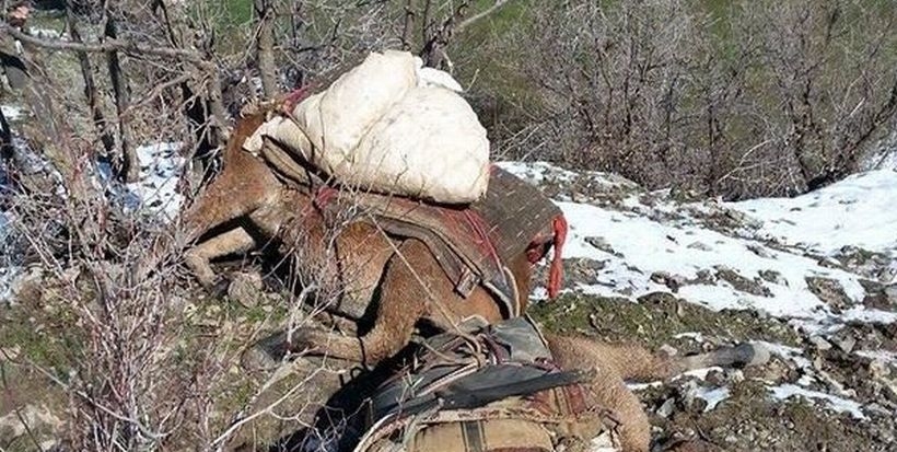 Katırları öldürülen Roboskî halkı: Artık sabrımız kalmadı