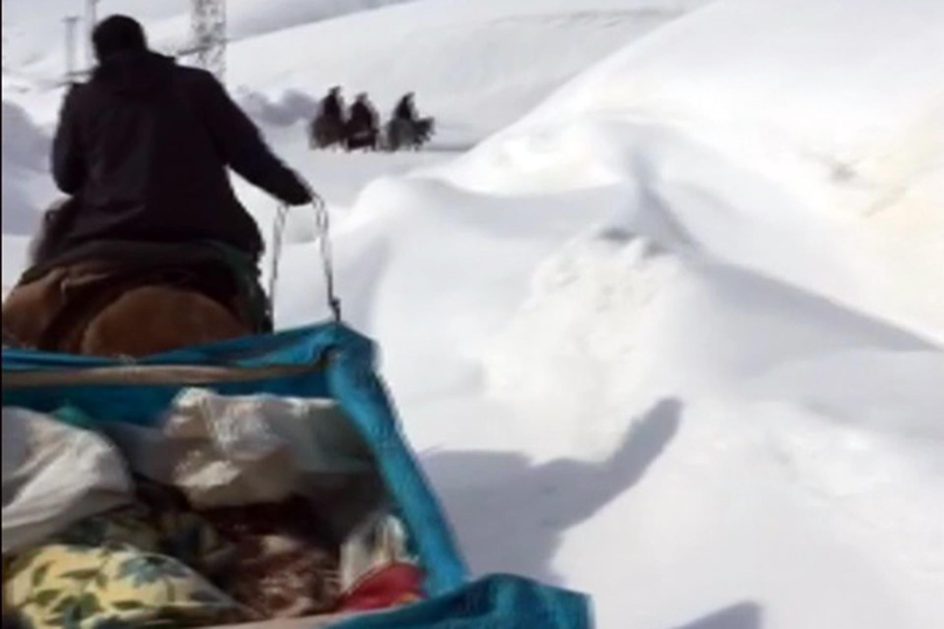 Hakkari'de kalp hastası olan ve rahatsızlanan Zübeyde Kılıçak, atlı kızakla 4 kilometre yol katetmek zorunda kaldı.