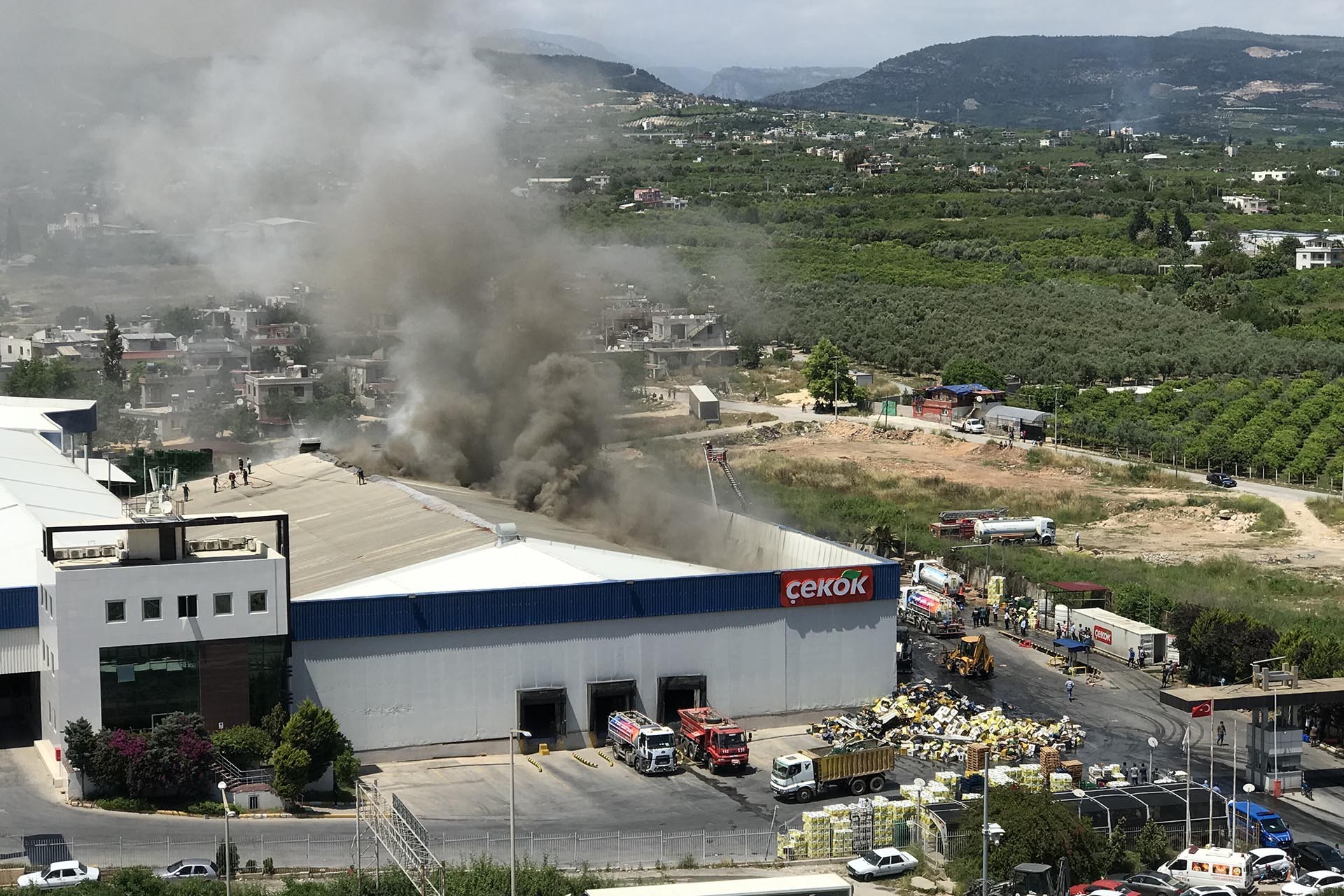 Narenciye fabrikasında yangın