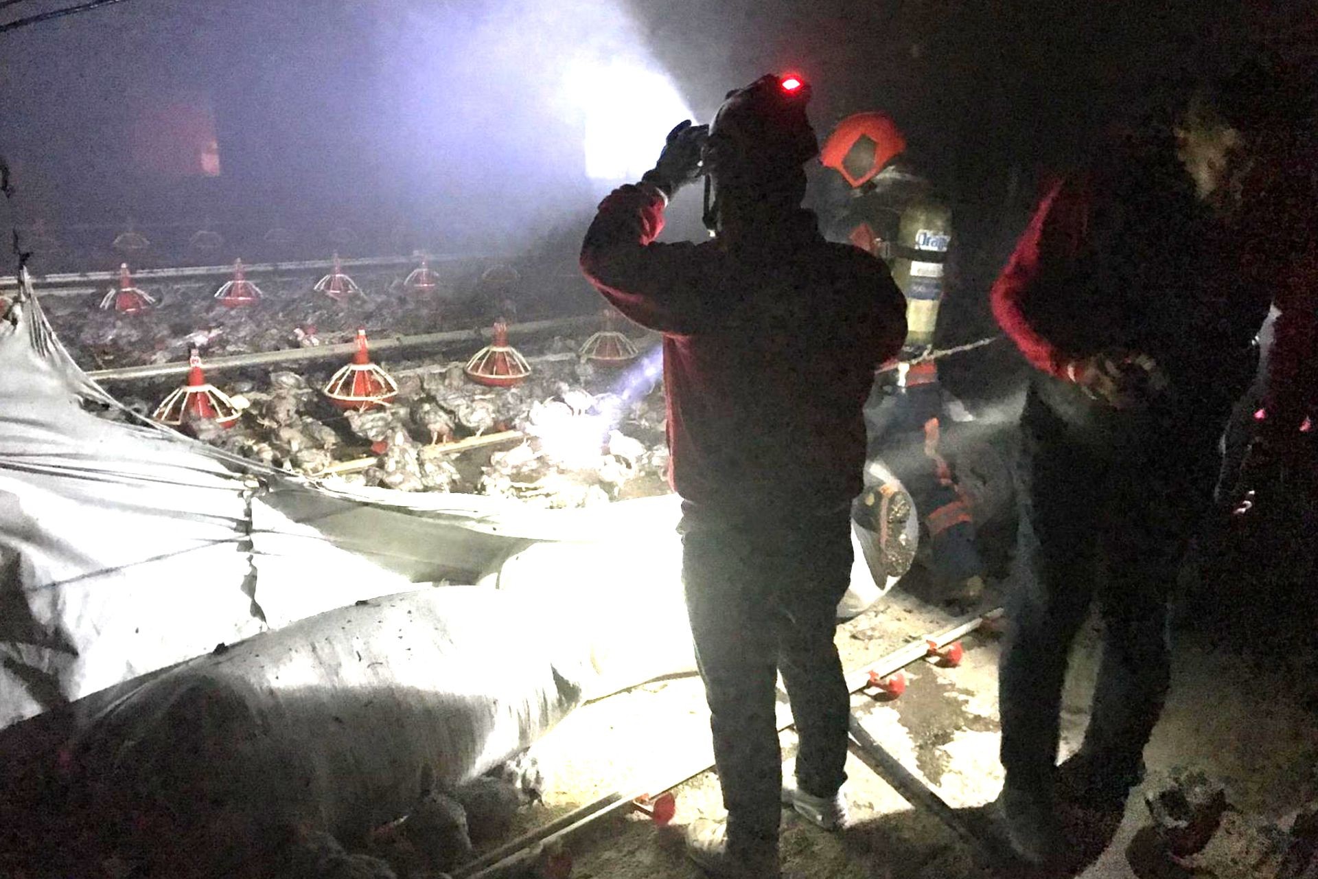 Hendek’te tavuk çiftliğinde yangın çıktı, 30 bin tavuk öldü