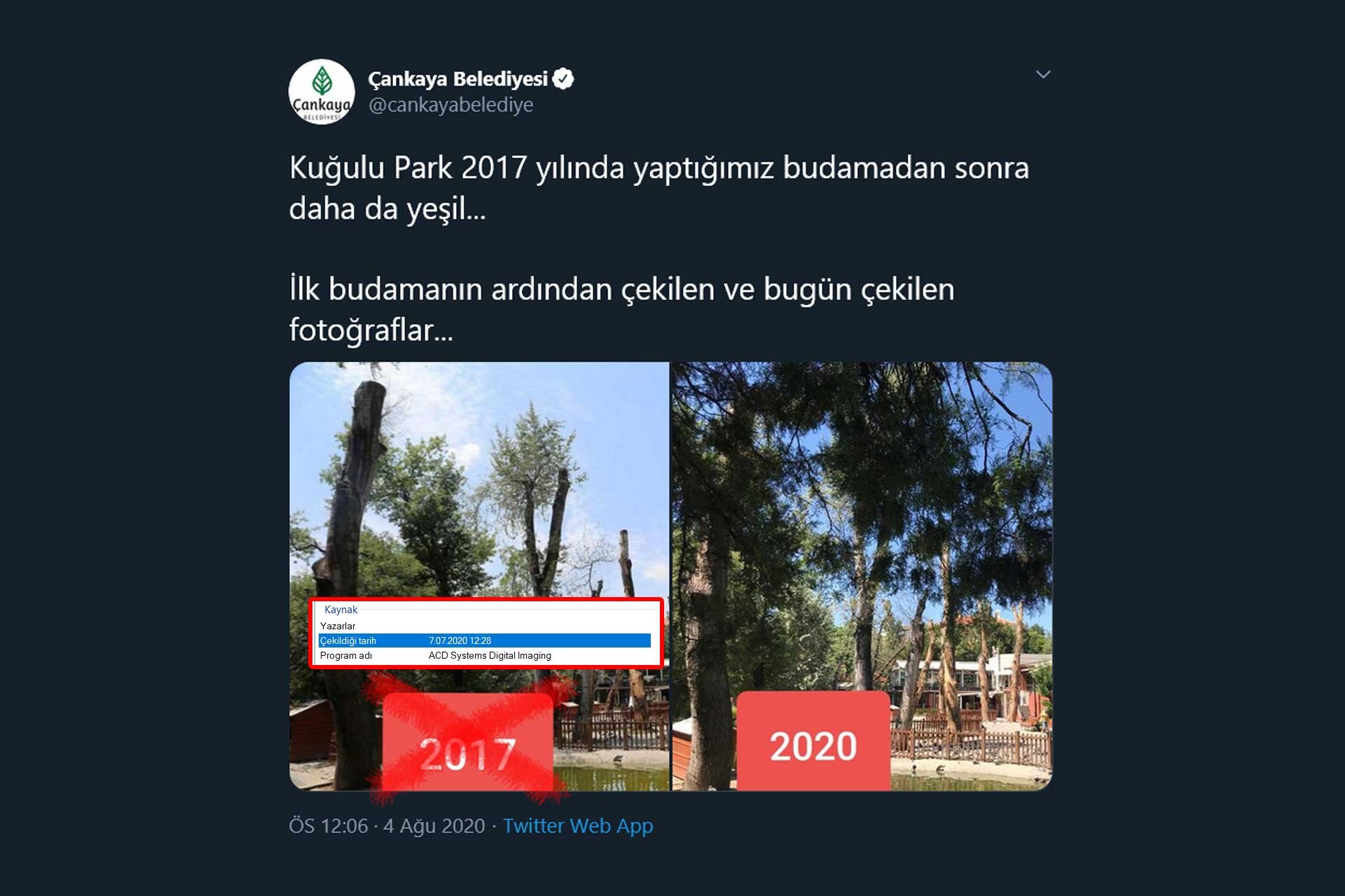 Çankaya Belediyesinin Kuğulu Park'ta kuruyan ağaçlara ilişkin halka yalan söylediği paylaşım