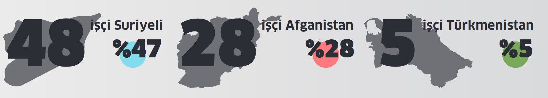 2020'deki iş cinayetlerinde ölen mülteci/göçmen işcilerin geldikleri ülkelere göre dağılımı
