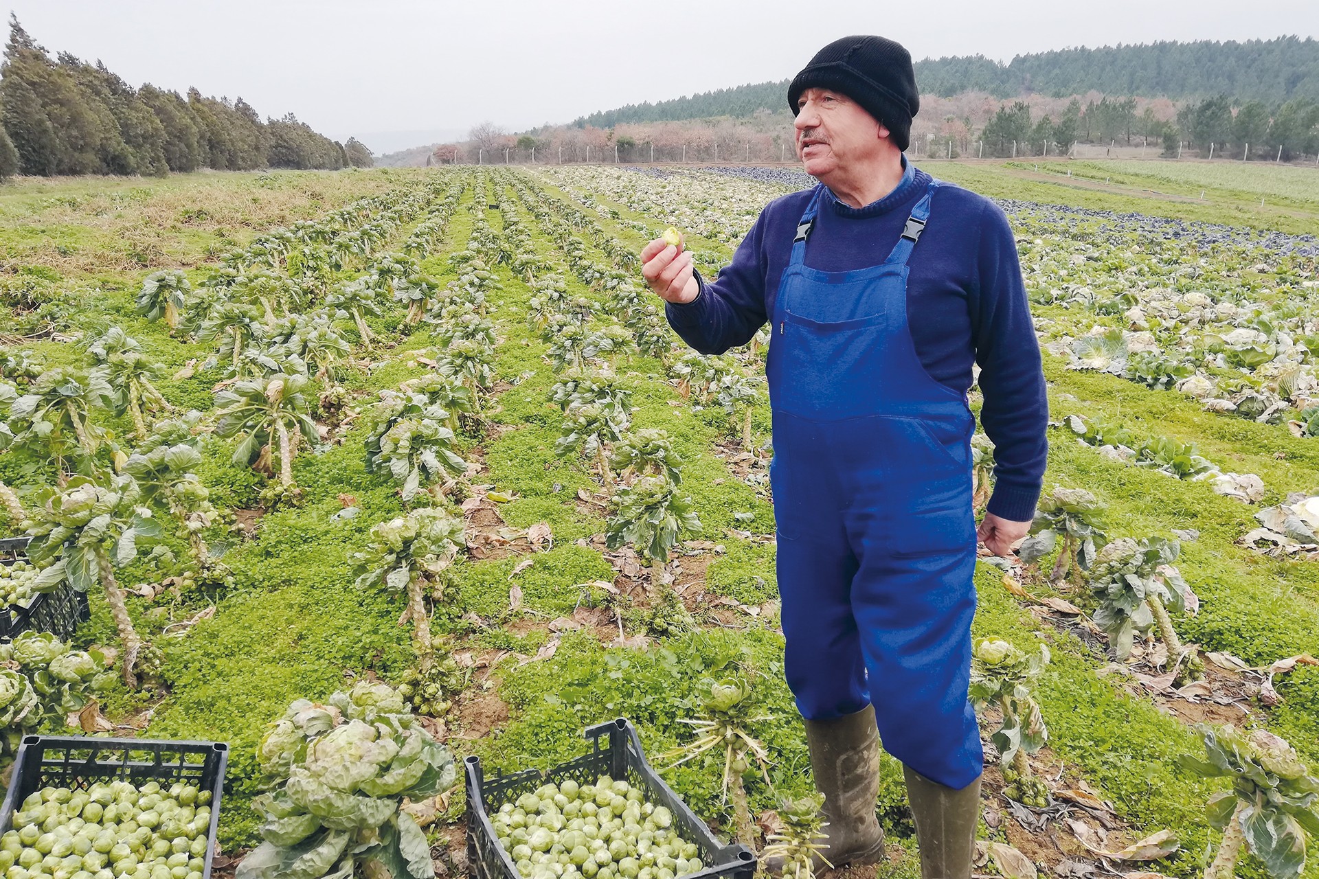 Tarlada çalışan bir kişi