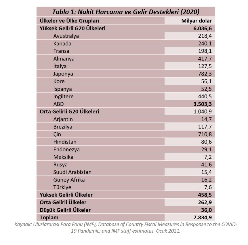 Ülkelerin nakit harcama ve gelir desteği tablosu