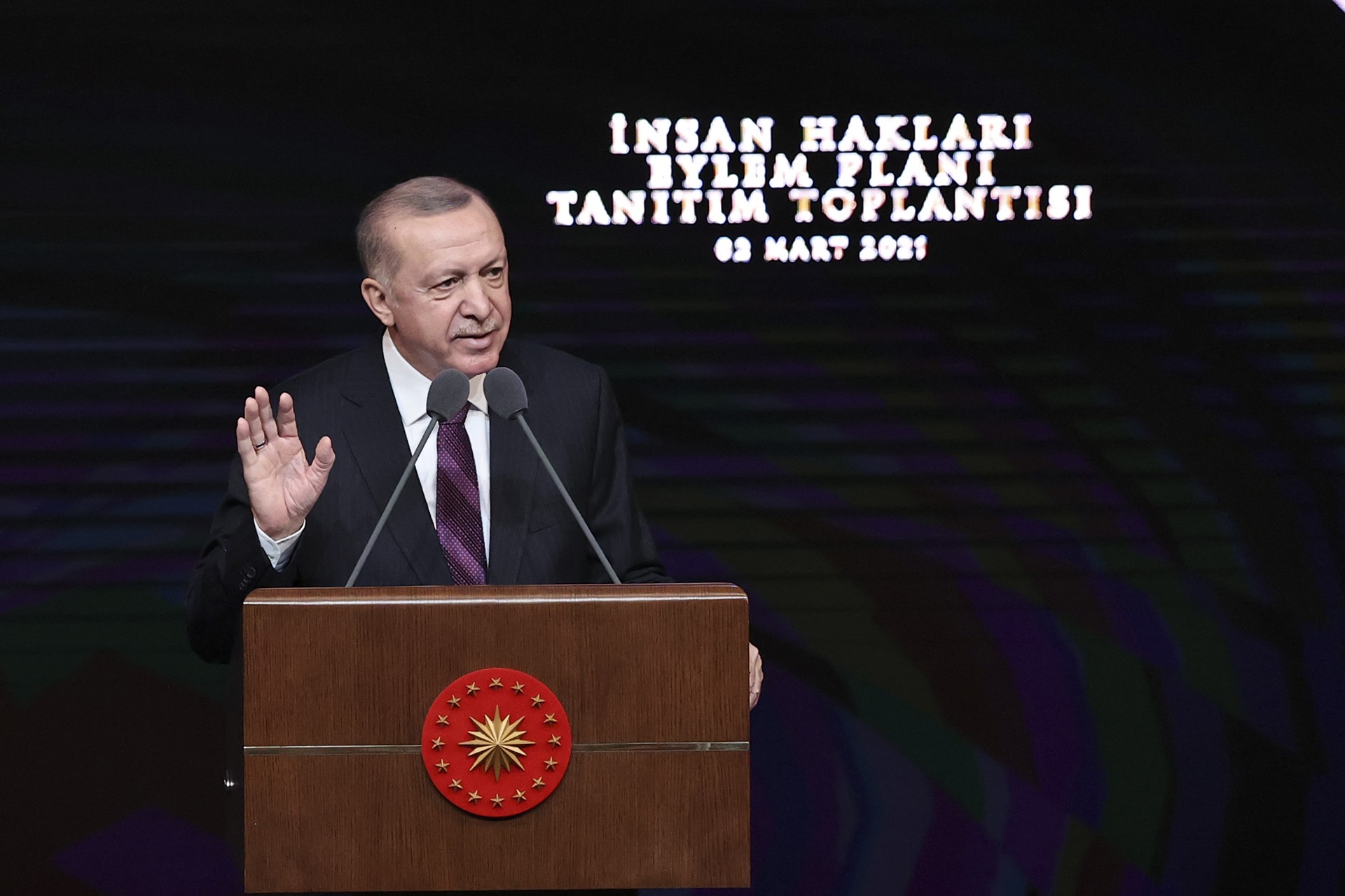 Cumhurbaşkanı Recep Tayyip Erdoğan 'İnsan Hakları Eylem Planı' Tanıtım Toplantısında konuşurken.