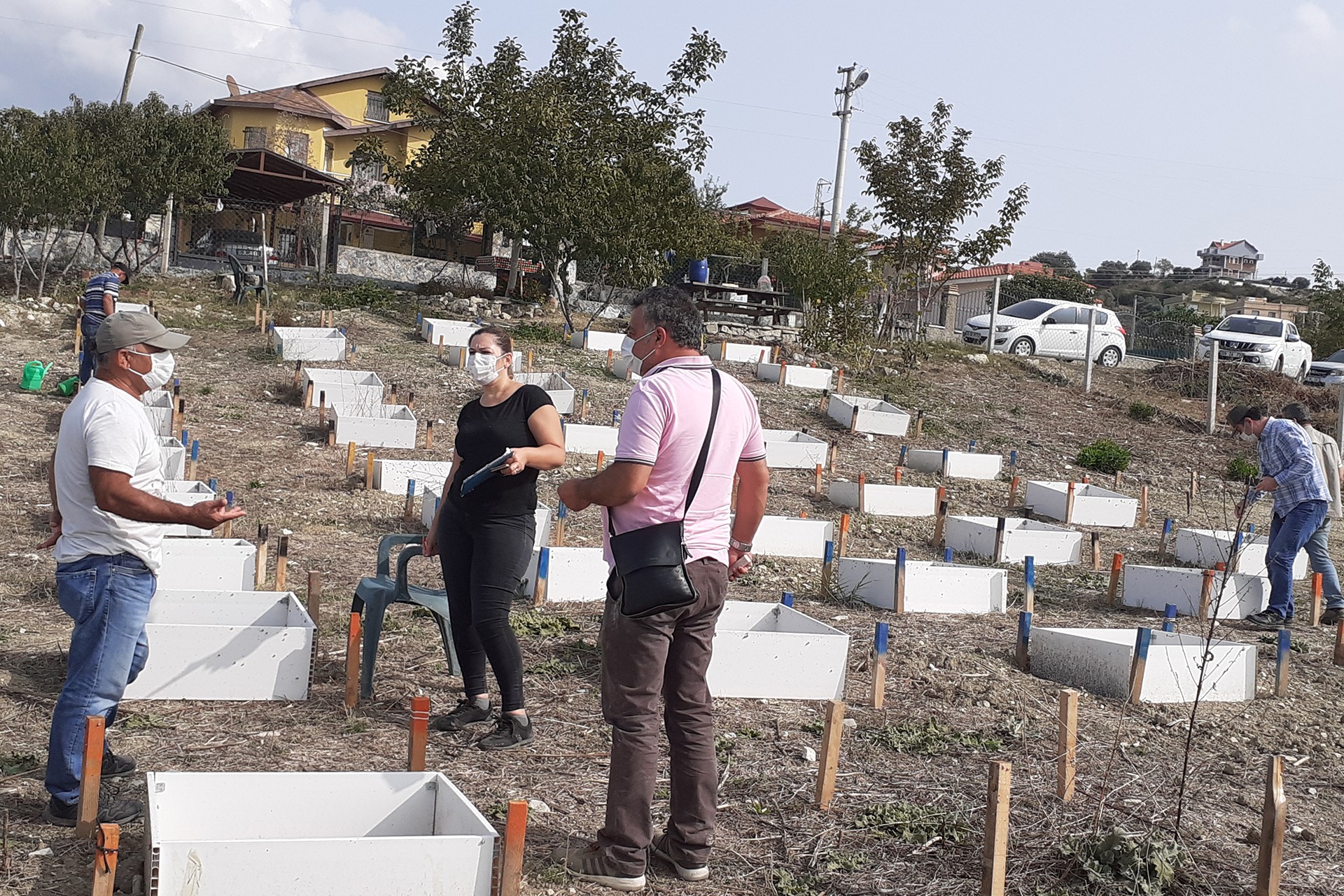 Tülüşahlar korunaklı yerlere taşındı