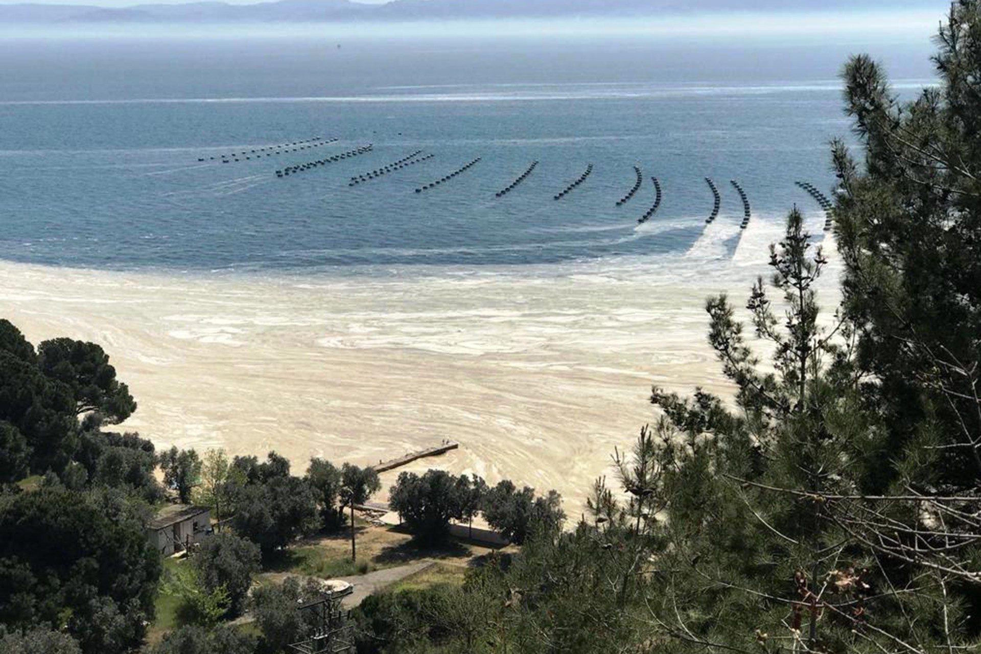 Marmara Denizi'ndeki kirliliğin Gemlik'ten görünümü.