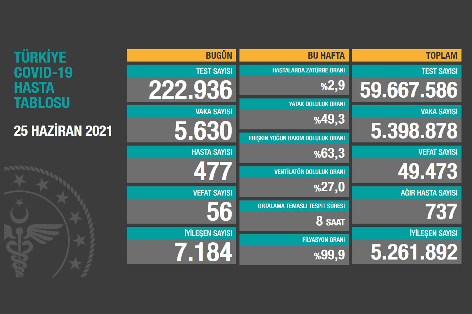 Sağlık Bakanlığının 25 Haziran 2021 tarihli Kovid-19 tablosu