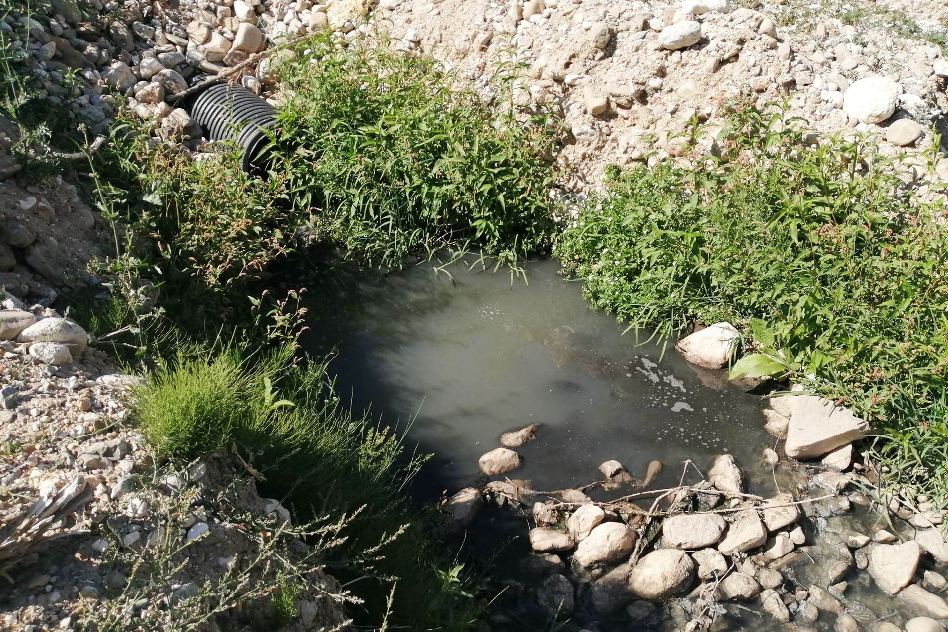 Fariske (Göktepe) çayı kanalizasyon atıkları yüzünden zehir akıyor.