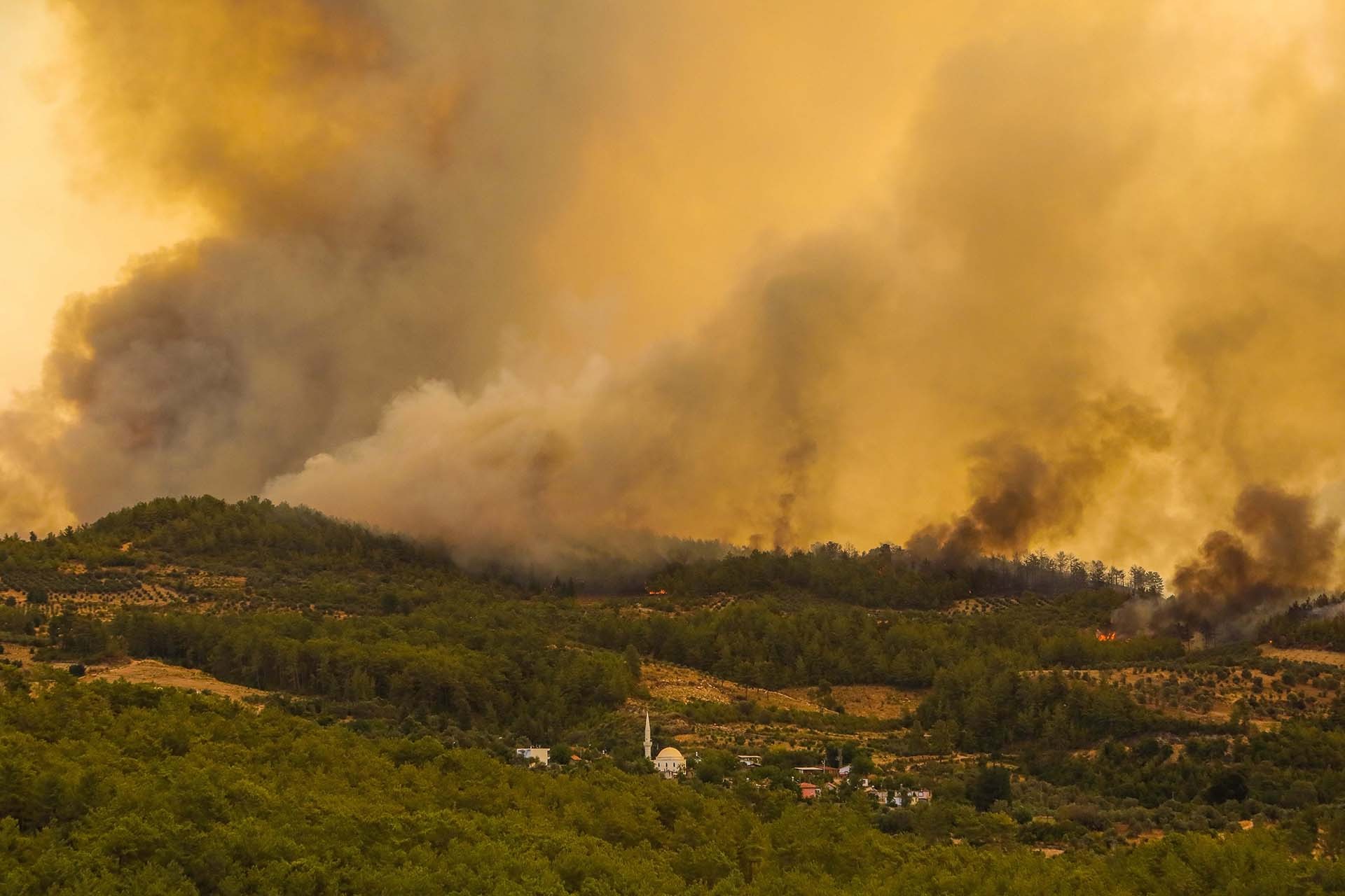 Manavgat'ta orman yangını 