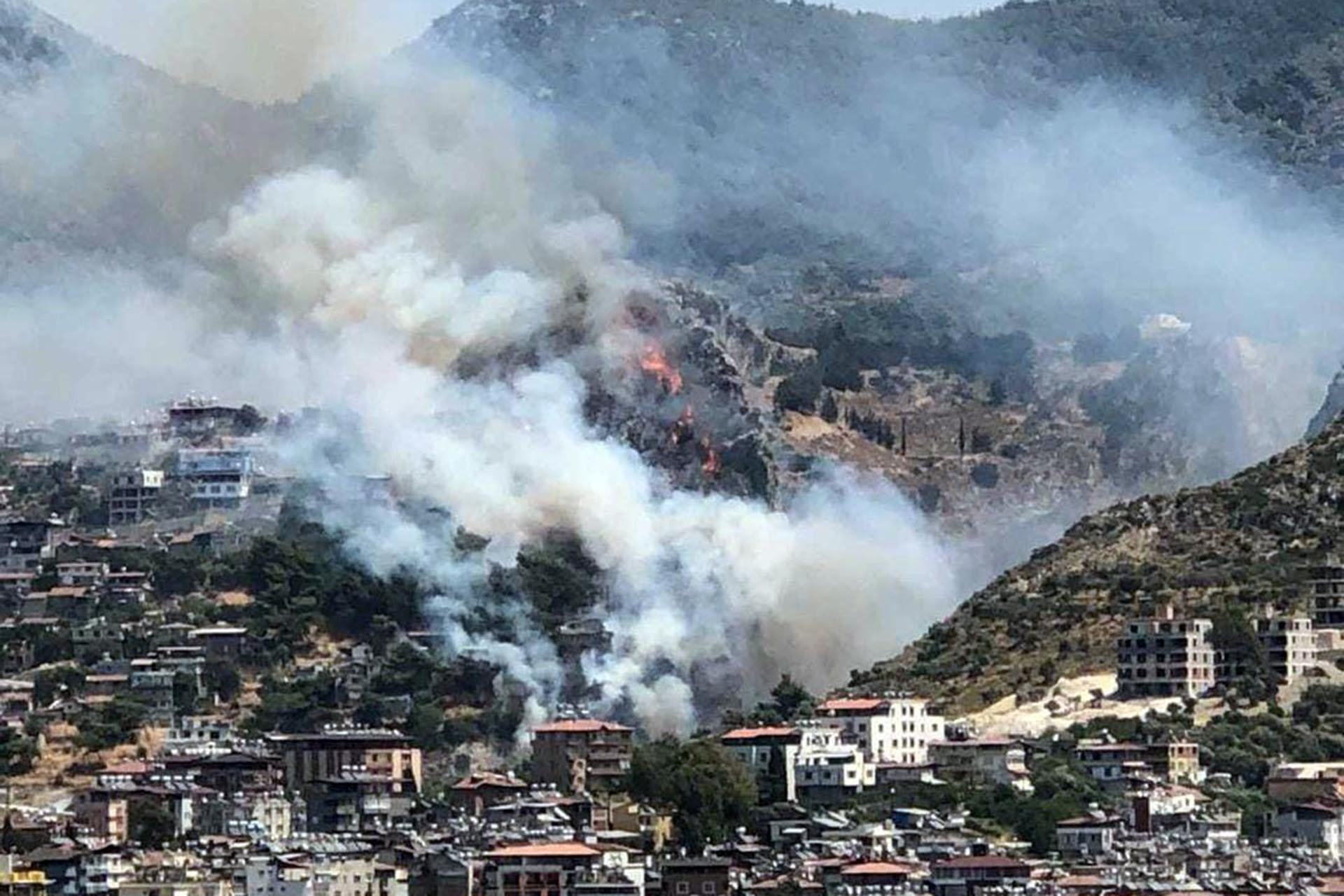 Hatay'da orman yangını