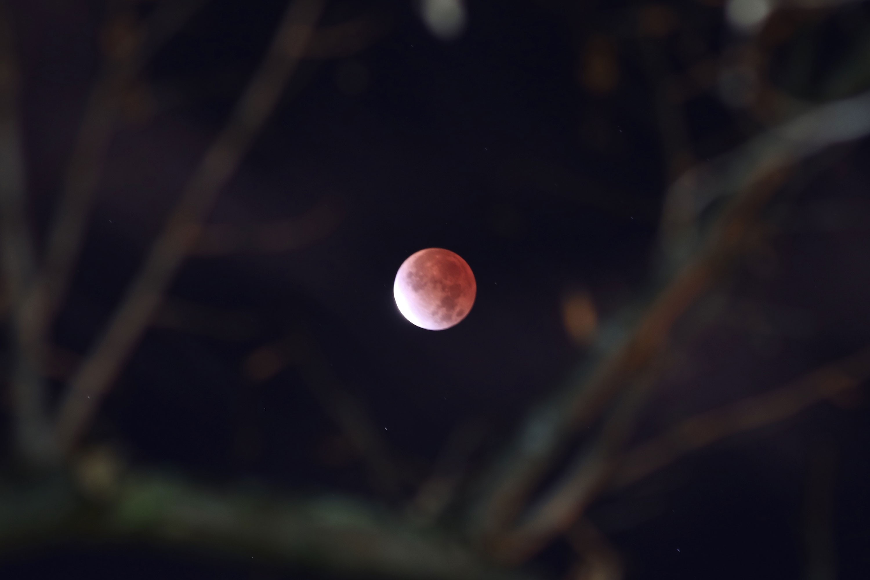 Ay tutulması, Kunduz ayı, Beaver Moon