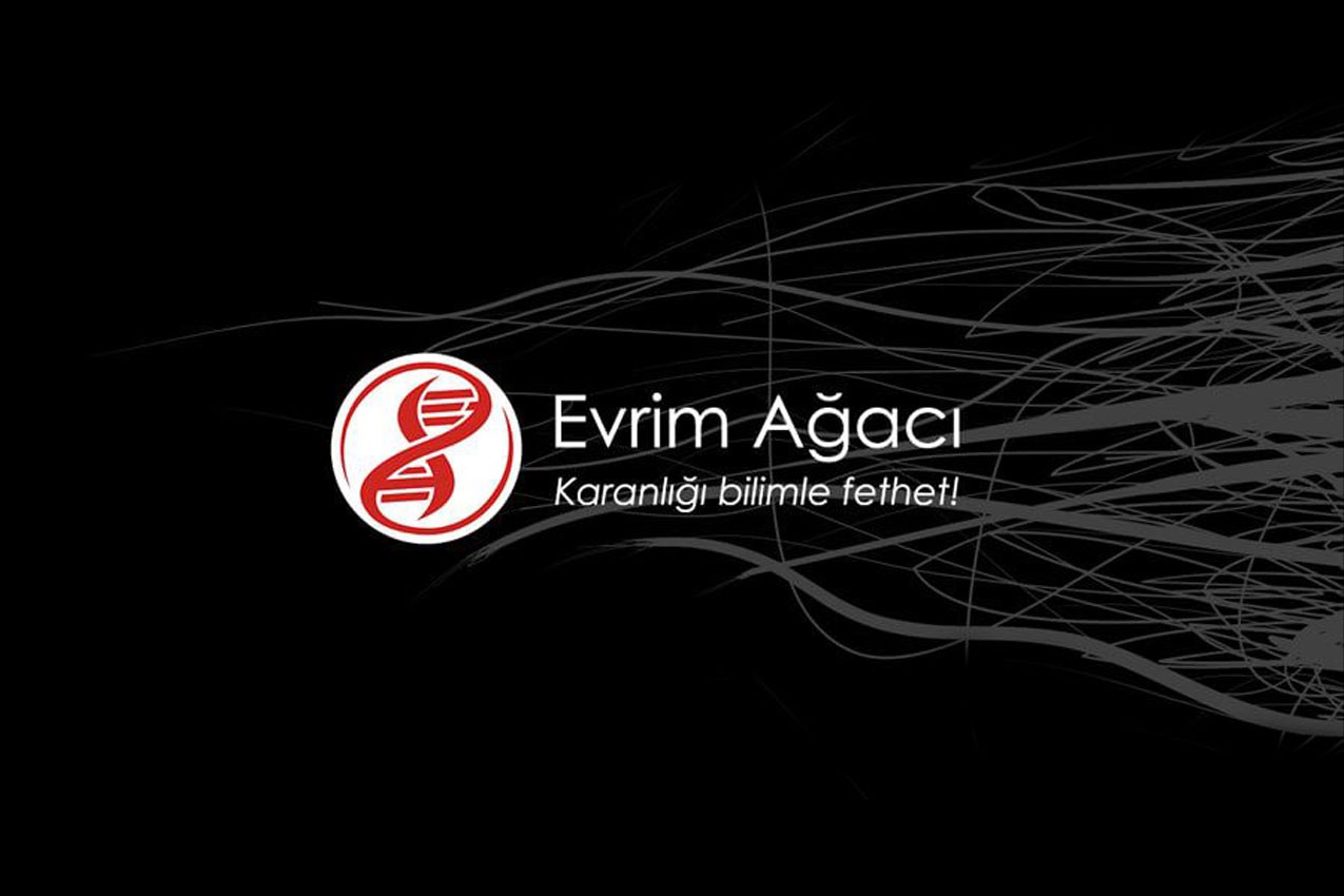 Evrim Ağacı