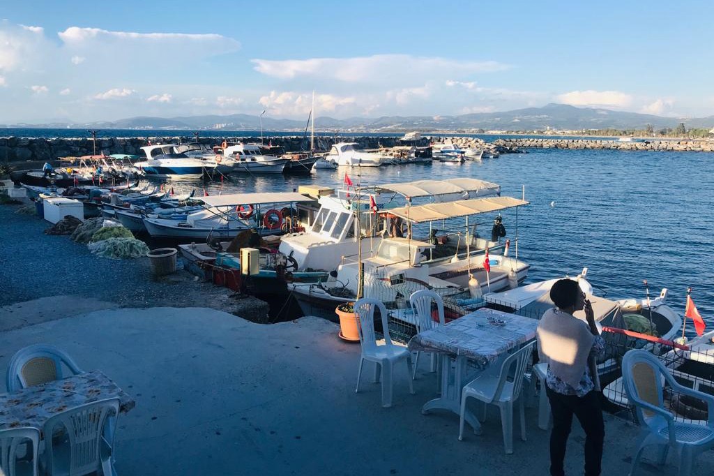 Kuşadası Güzelçamlı yat limanı projesi ÇED raporunun iptali kararına itirazı reddedildi
