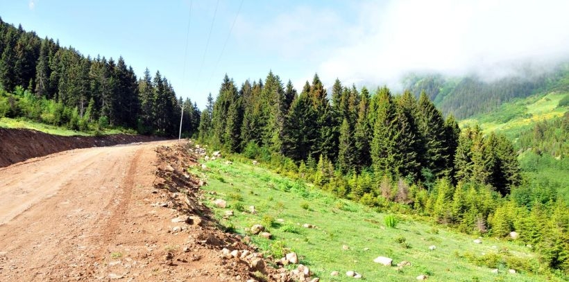 Vali: Kimse ahkam kesmesin, yeşil yolu yapacağız