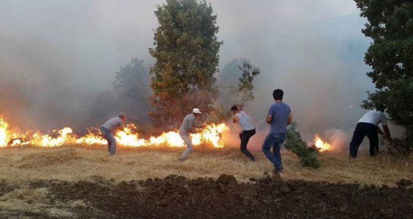 Lice'de yangın yeniden başladı